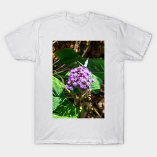 Butterfly and Bee in the Botanical Garden T-Shirt